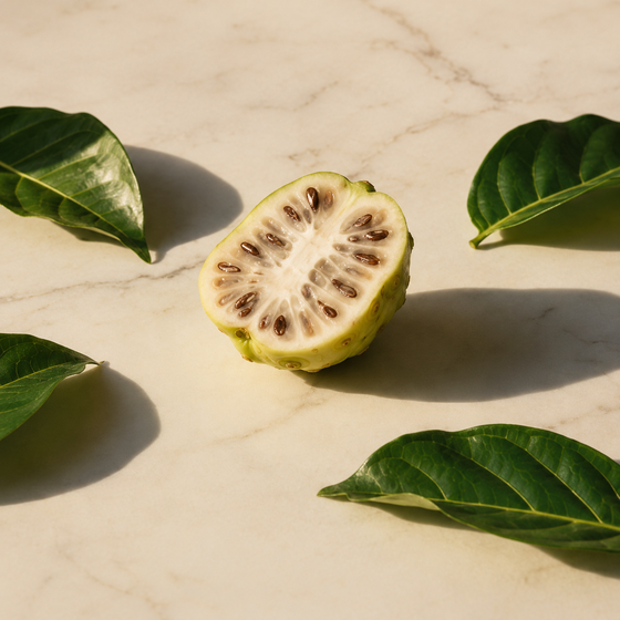 Morinda Citrifolia